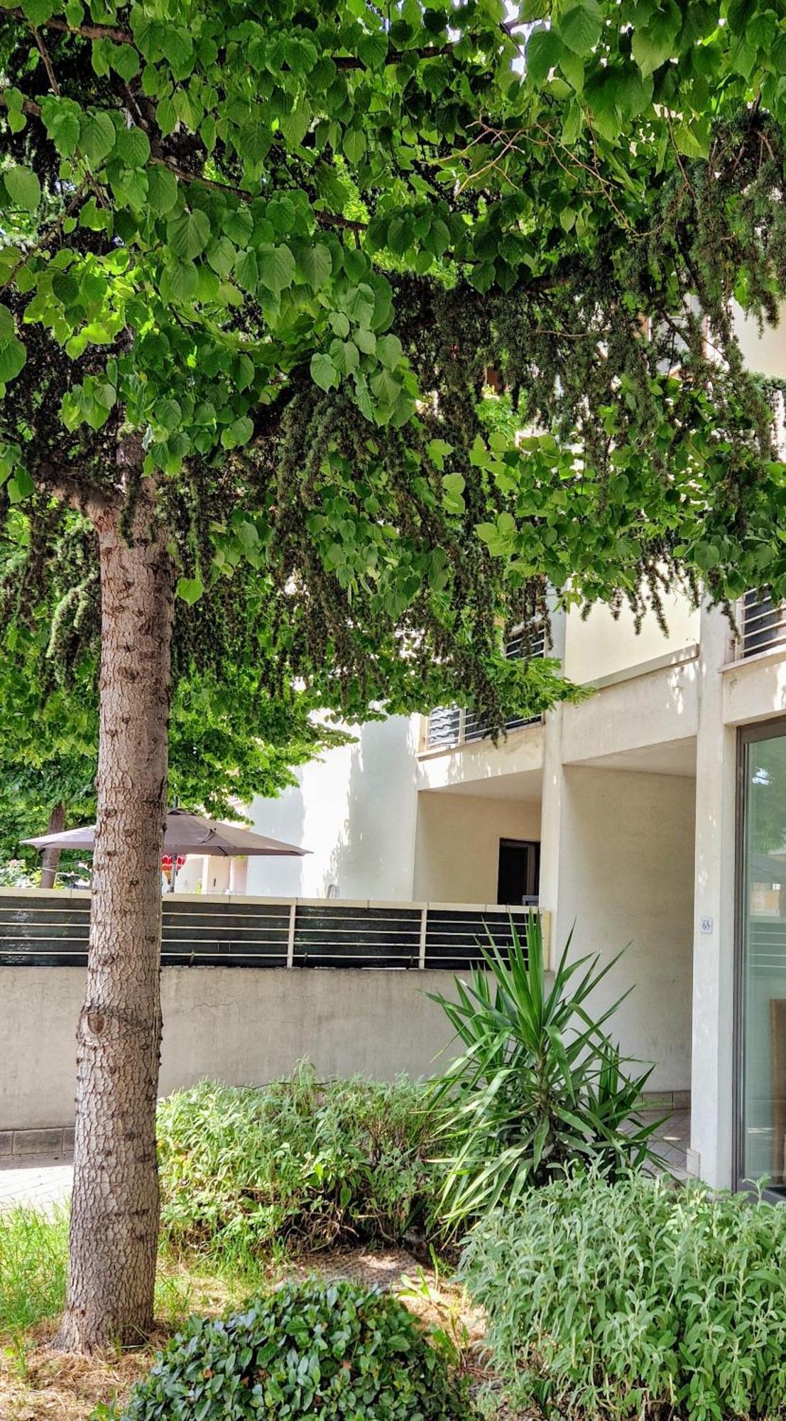 Dolcenido Meyer Firenze Apartamento Exterior foto